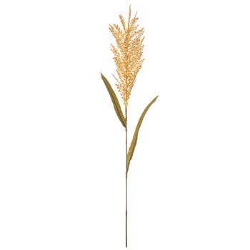 Wheat Grass Stem | Hobby Lobby | 5751433