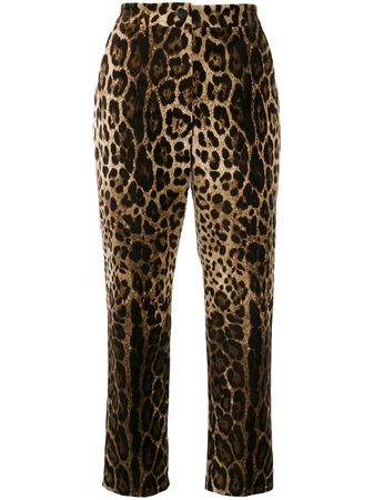 Dolce & Gabbana Leopard Print high-rise Trousers - Farfetch