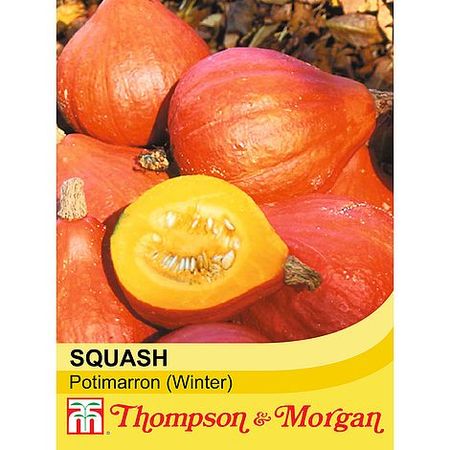 winter squash seed packets