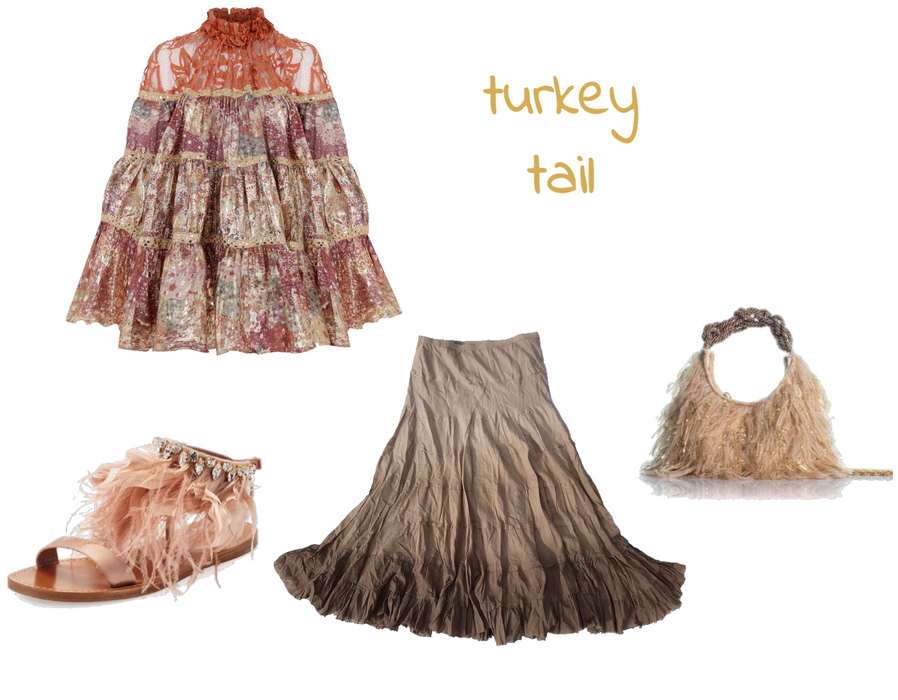 turkey tail