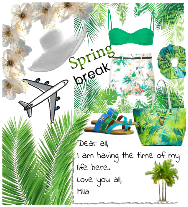Tropical destination spring break