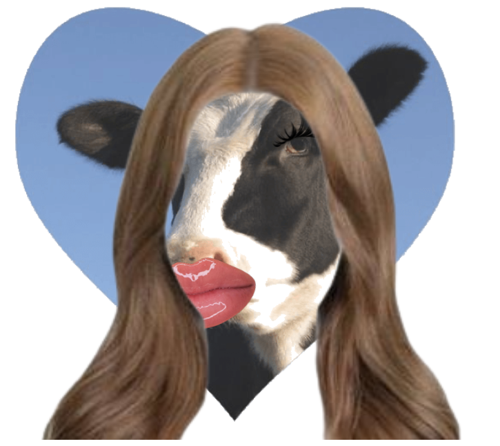 baddie cow