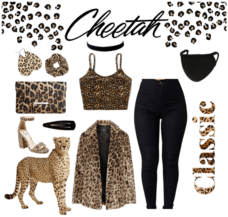 Favorite Animal~Cheetah ❤️