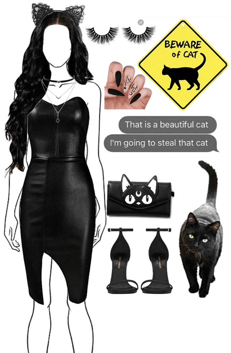 black cat 🖊