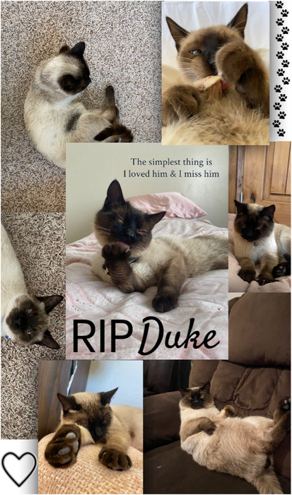RIP Duke