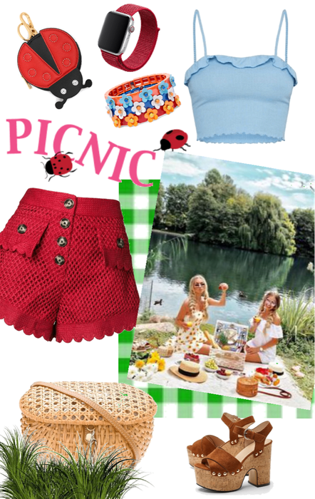 picnic chic