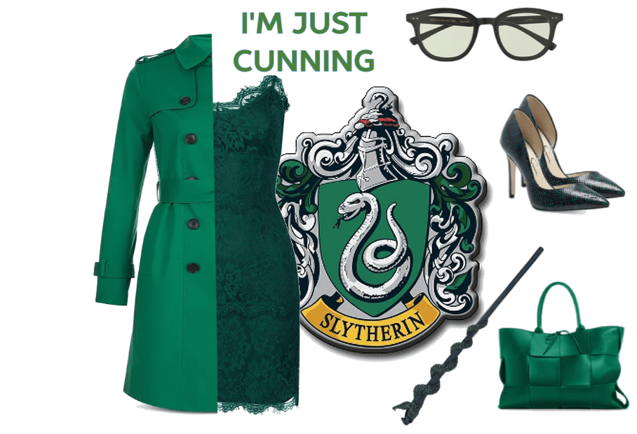 The Cunning Slytherin