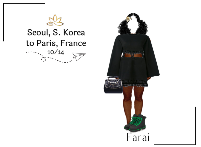 Dei5 Farai Seoul to Paris 10/14