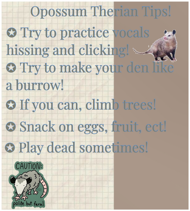 Opossum therian tips! 🐾🦝🌿