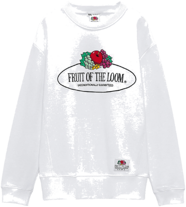 fruit of the loom sweater
