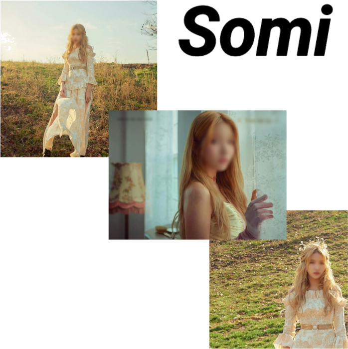 Somi concept photo