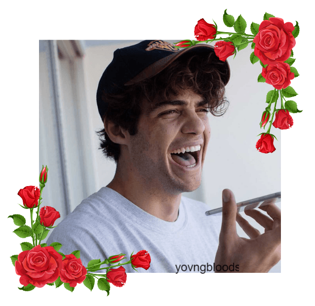 Noah Centineo (requested)