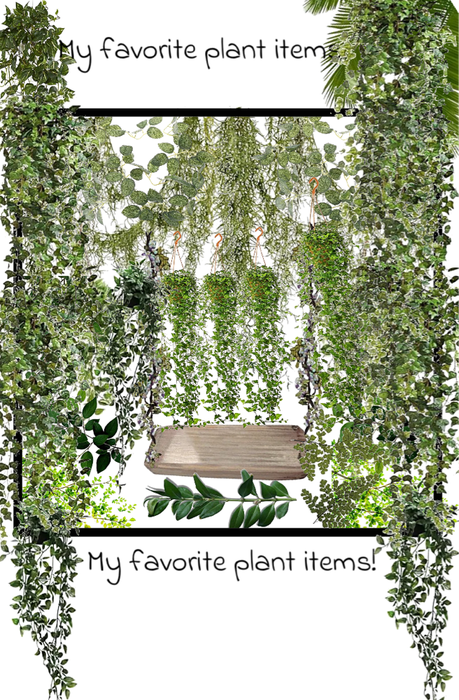 my favorite plant items