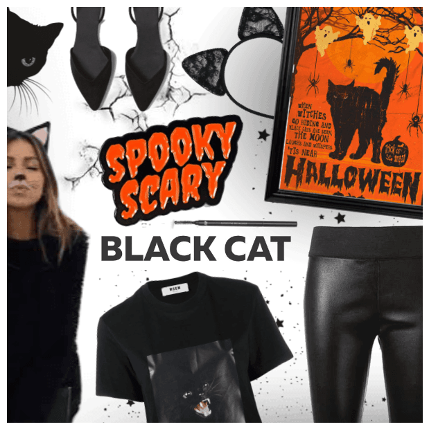National Black Cat Day: Spooky Cat  (10/27)
