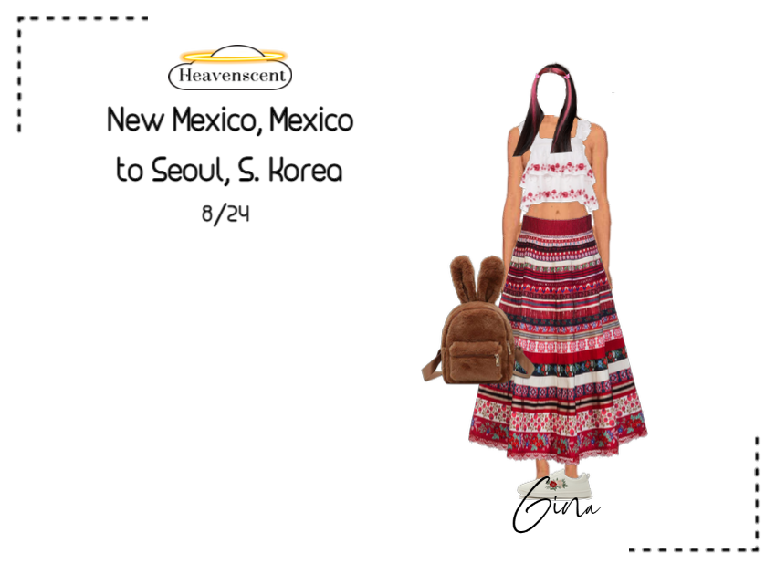 HVST New Mexico to Seoul Airport | Gina