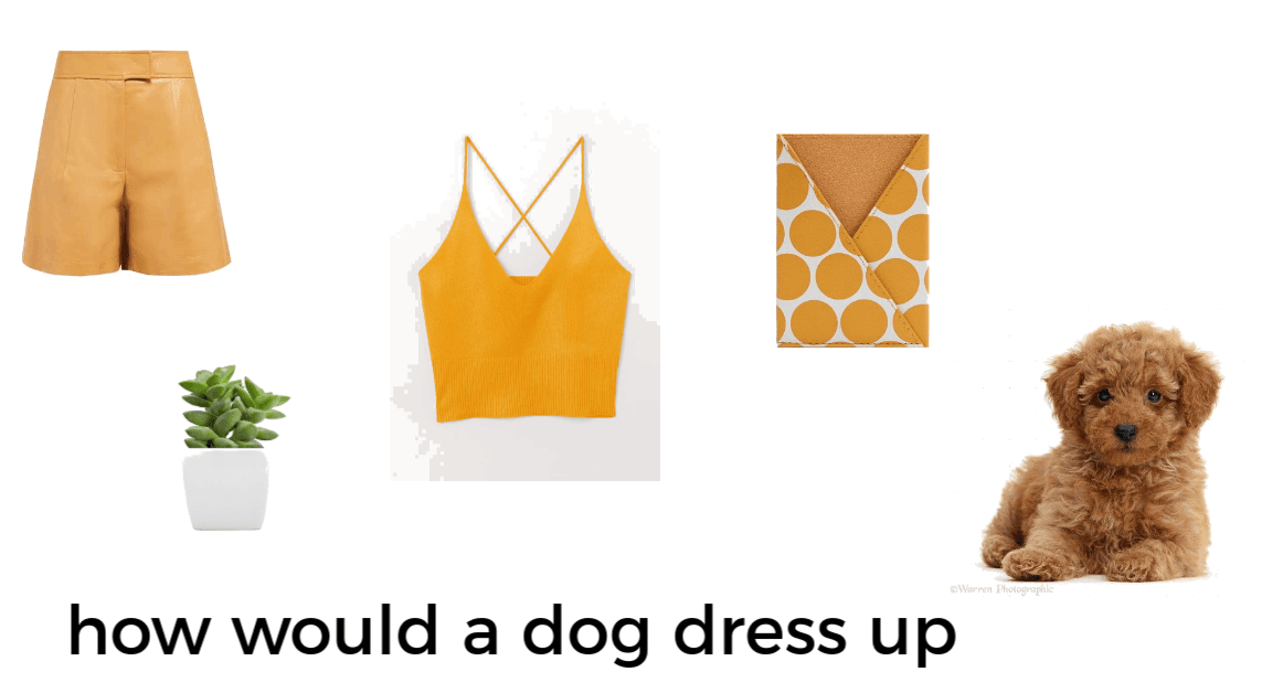 how would your dog dress up
