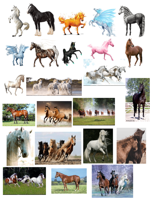horses - some of them & mythical horses