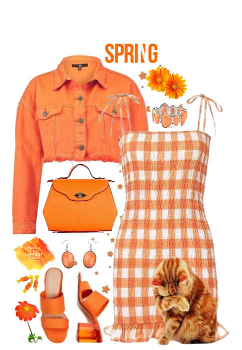 🍊 Spring Orange! 🍊
