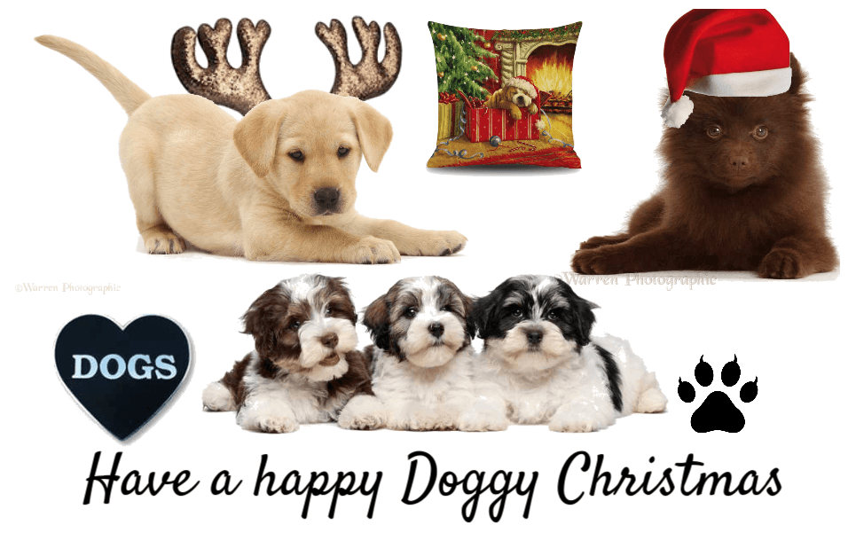 Have a happy Doggy Christmas