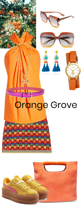 # weekend Orange Grove Tours