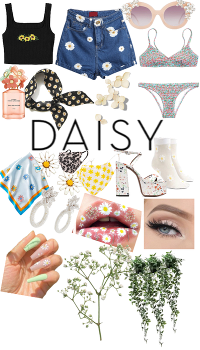 Daisy Daisy Daisy Daisy Daisy