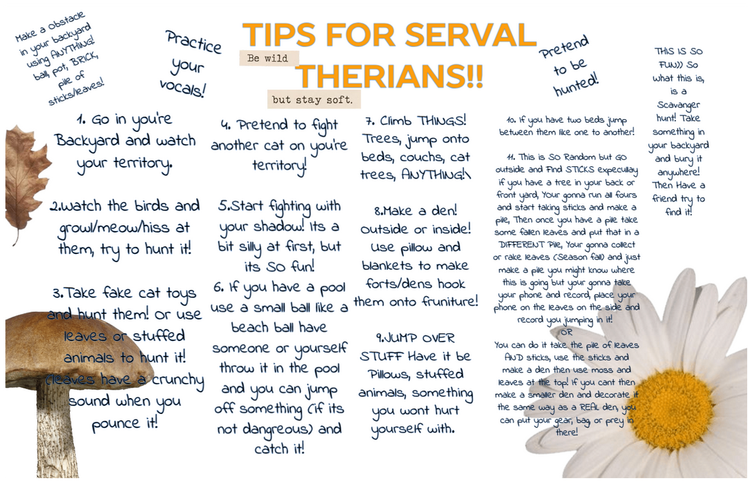 Tips For Serval Therians