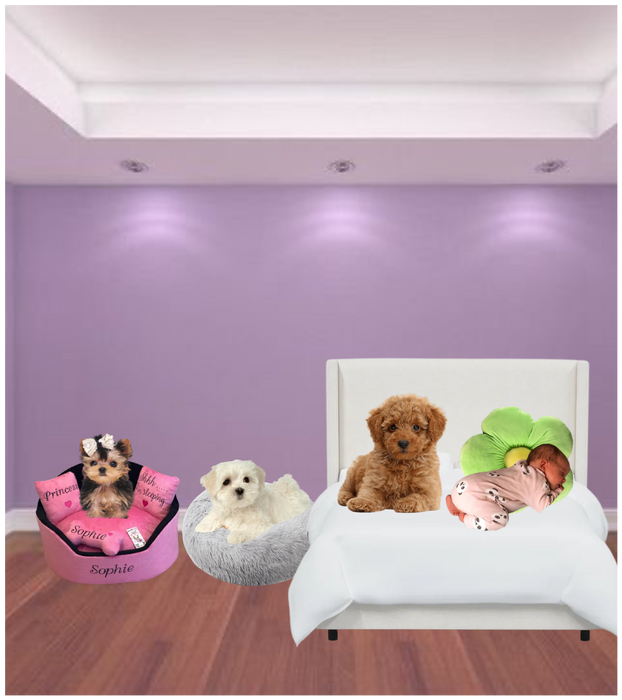 Rich baby room