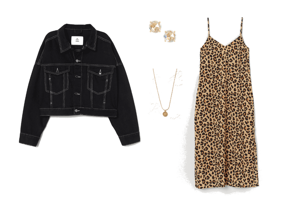 Cropped Jacket and Animal Print Dress