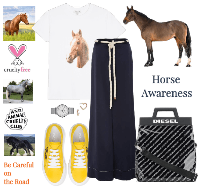 Horse Awareness