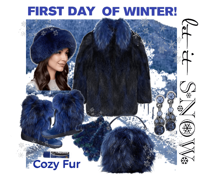 first day of winter - cozy fur