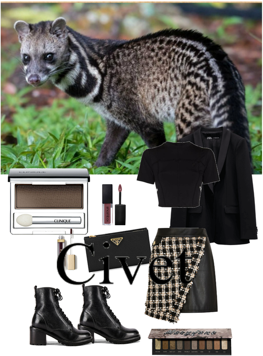 Civet Fashion