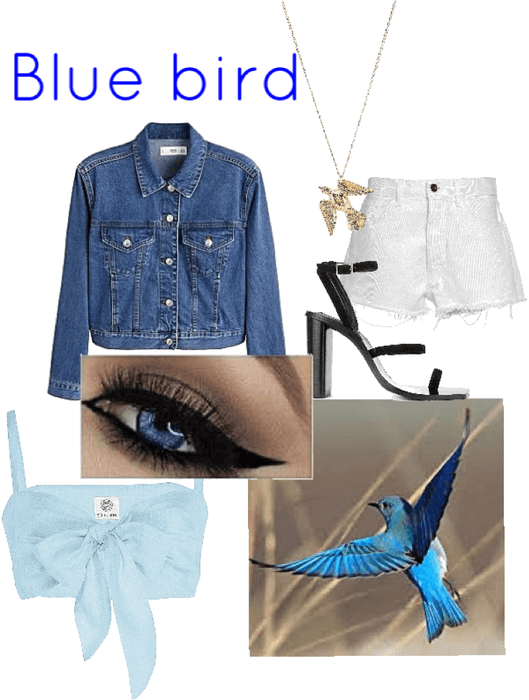 blue bird inspired