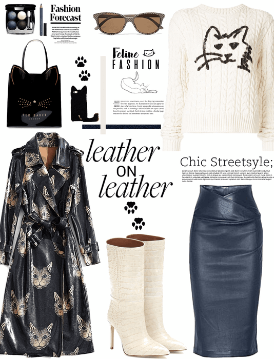 Leather on leather.     feline fashion
