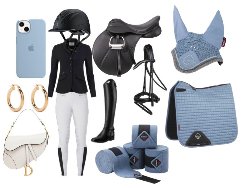 Dressage Outfit