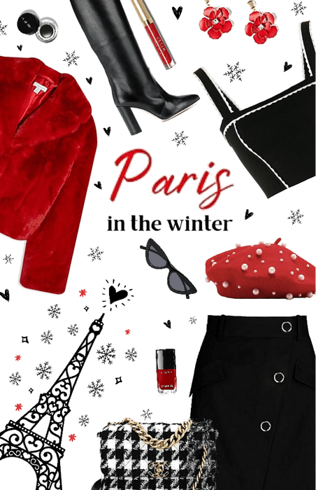 Paris in Winter - Collab with Looksbylyla