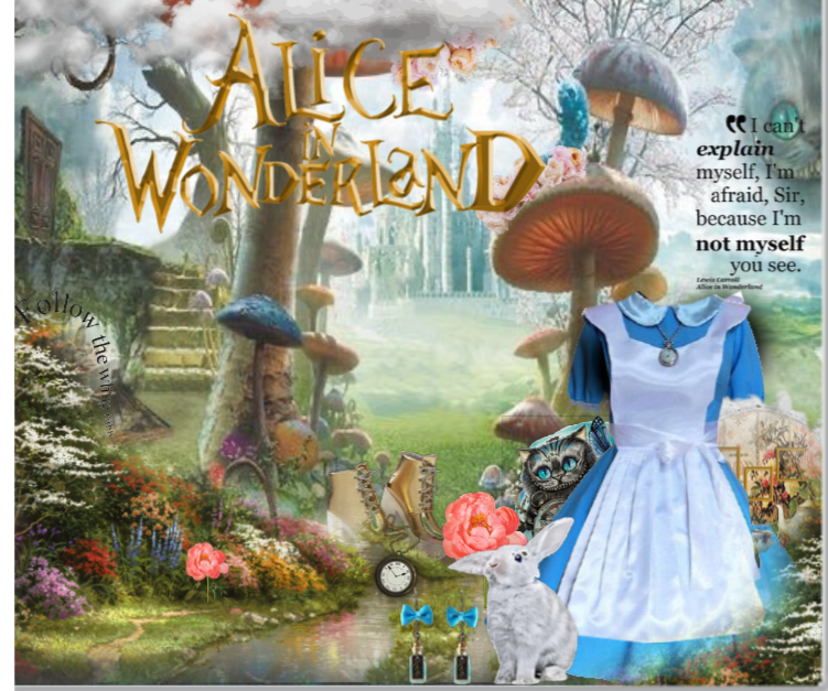Alice in wonderland costume