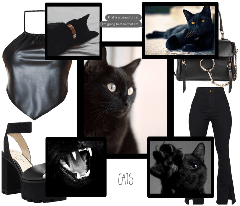 Channel your Inner Black Cat!