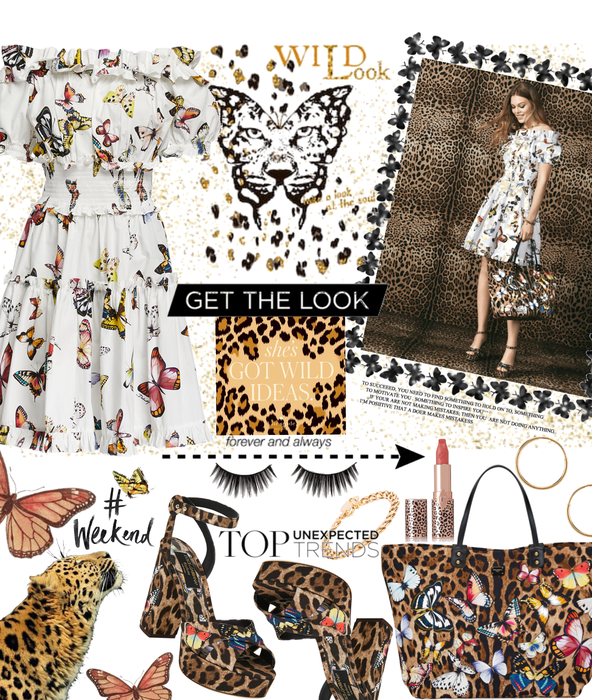 butterflies and leopards