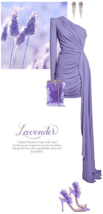 Lavender for spring