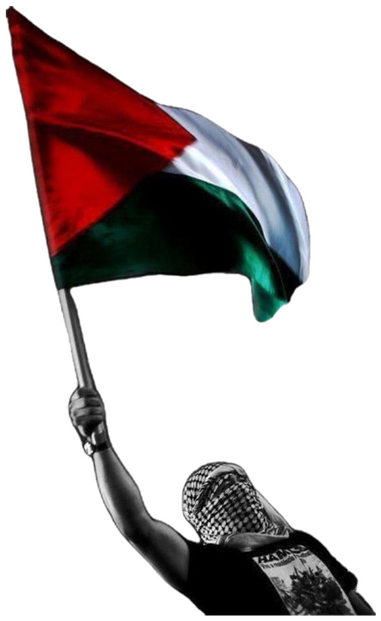 free free Palestine !