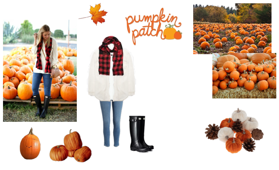 pumpkin patch #2