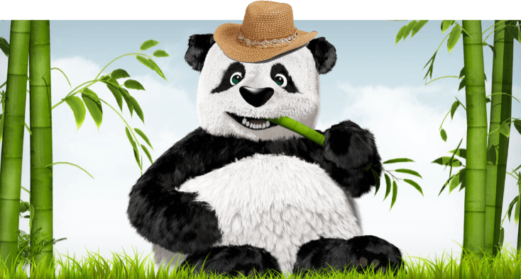 Panda in hat