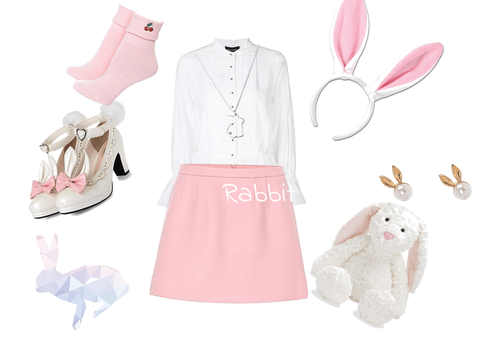 Bunny outfit