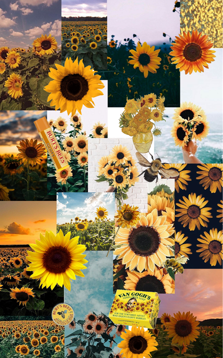 sunflower aesthetic