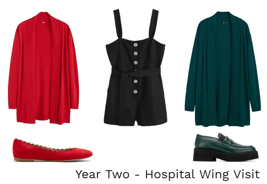 Year Two - Hospital Wing Visit