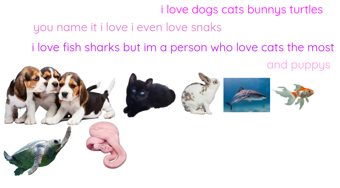 my favorit pets i wold love to have