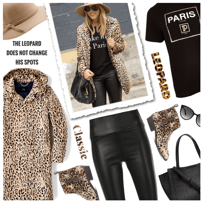 Leopard and leather