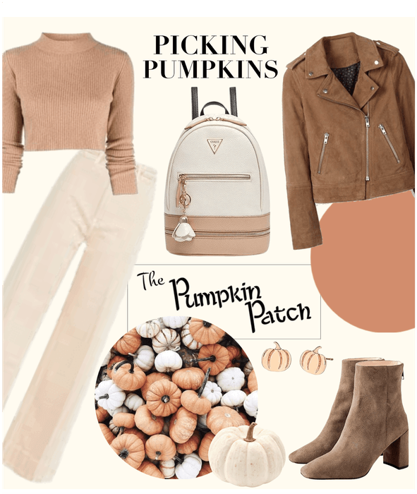 Pumpkin patch 🎃