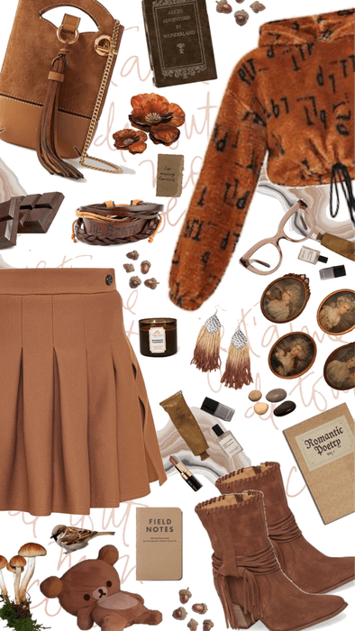 Brown Cropped Hoodie and Pleated Skirt