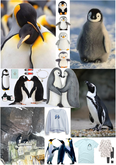 Penguin Loves: Wildlife & Plushies